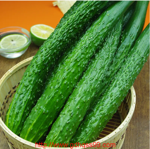 虎門(mén)蔬菜配送